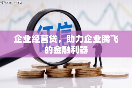 南票企业经营贷，助力企业腾飞的金融利器