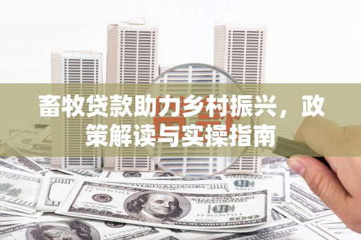 南票畜牧贷款助力乡村振兴，政策解读与实操指南