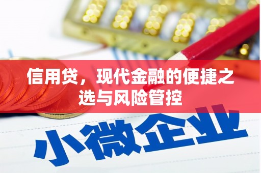 南票信用贷，现代金融的便捷之选与风险管控