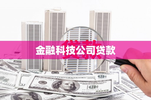 南票金融科技公司贷款