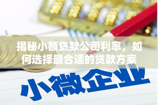 南票揭秘小额贷款公司利率，如何选择最合适的贷款方案