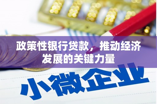 南票政策性银行贷款，推动经济发展的关键力量