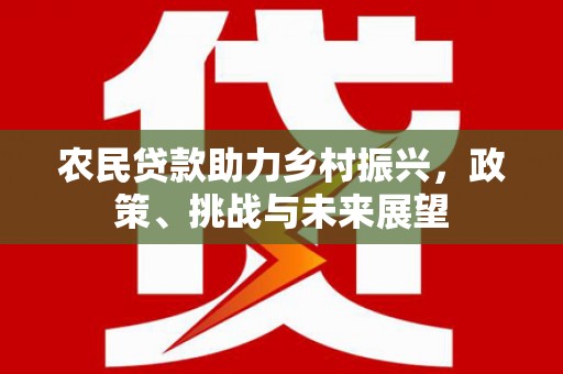 南票农民贷款助力乡村振兴，政策、挑战与未来展望