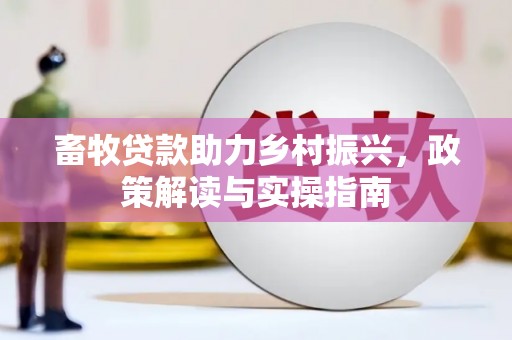 南票畜牧贷款助力乡村振兴，政策解读与实操指南
