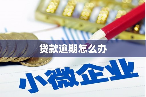 南票贷款逾期怎么办