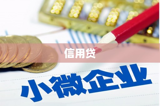 南票信用贷