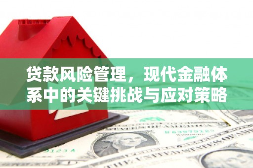 南票贷款风险管理，现代金融体系中的关键挑战与应对策略