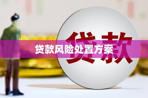 南票贷款风险处置方案