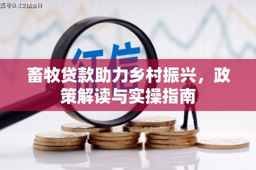 南票畜牧贷款助力乡村振兴，政策解读与实操指南